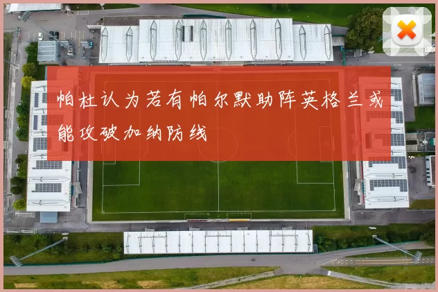 帕杜认为若有帕尔默助阵英格兰或能攻破加纳防线