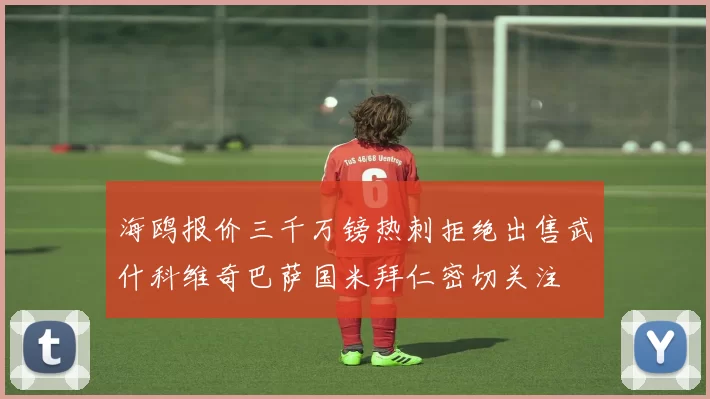 海鸥报价三千万镑热刺拒绝出售武什科维奇巴萨国米拜仁密切关注
